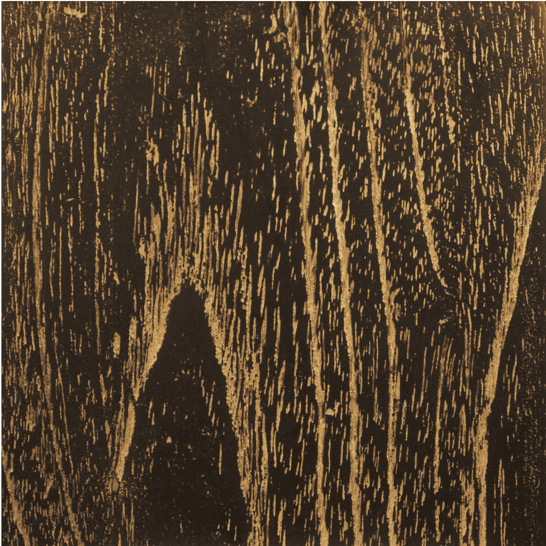 Black Gold Teak / Java Oak