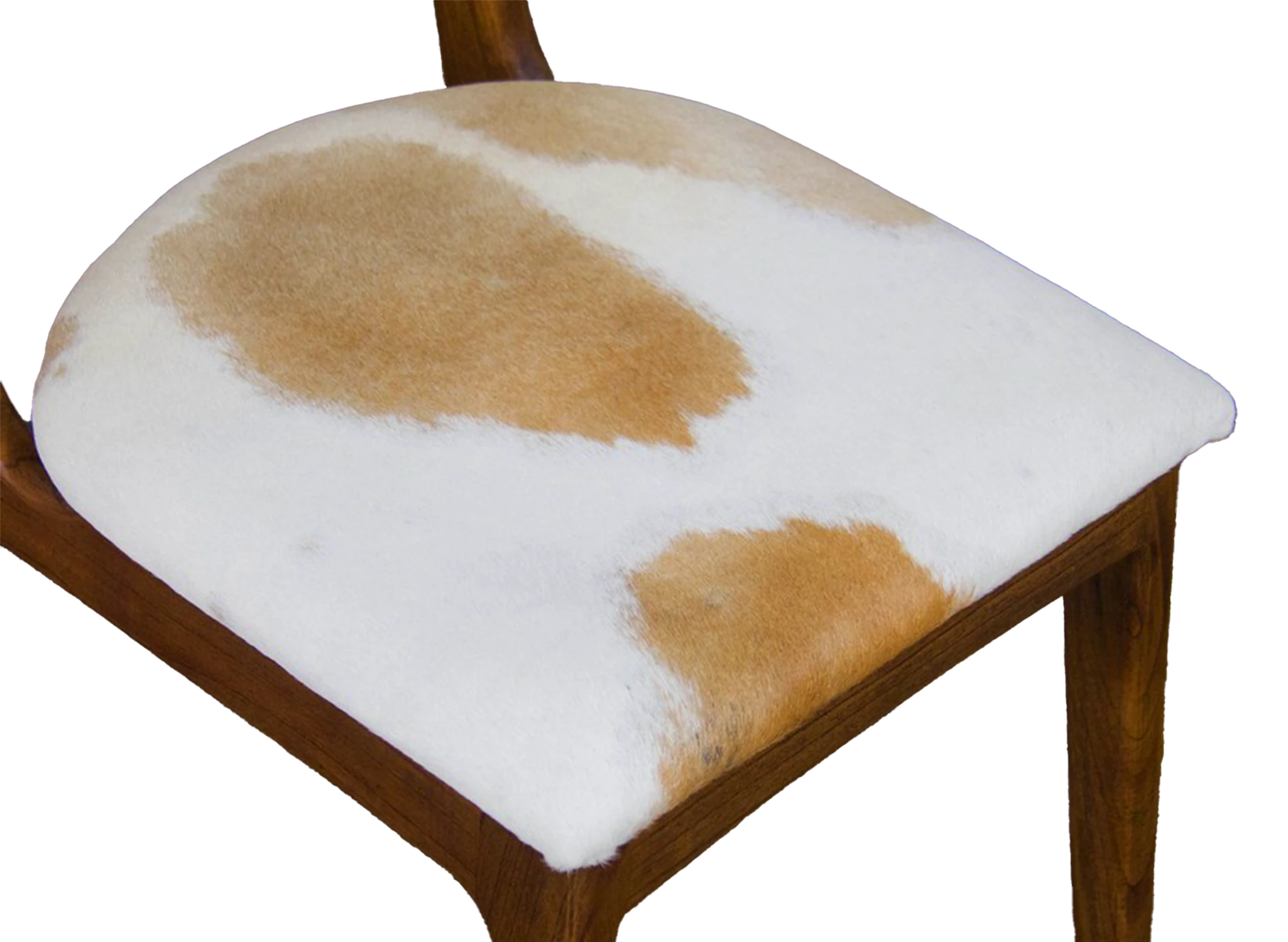 Tabu-Design-CH55-ARU-Chair-Wood-cow-hide-2